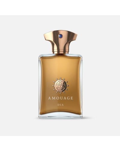 Amouage Dia For Men Edp 100ml